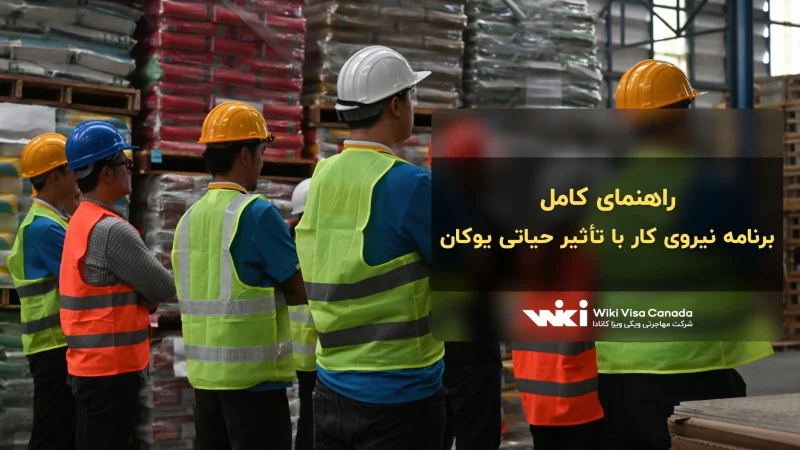 برنامه نیروی کار با تأثیر حیاتی یوکان
